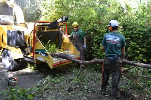 tree services Indian Head Park